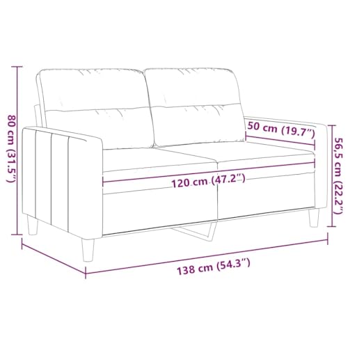 2-Seater Sofa, Modern LoveseatCouch for Small Spaces, Compact Dark Grey Polyester Fabric Settee with Pillows for Living Room, Apartment and Office, 54.3 Inch Wide - size: 2-Seater