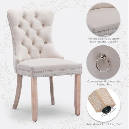 Velvet Upholstered Dining Chairs Set of 2, Modern Style Kitchen Side Chairs with Nailhead Trim and Wood Legs,Metal Pulling Ring for Dining Room Living Room(Beige,Set of 2) - color: Beige, size: Set of 2