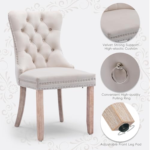 Velvet Upholstered Dining Chairs Set of 6, Modern Style Kitchen Side Chairs with Nailhead Trim and Wood Legs,Metal Pulling Ring for Dining Room Living Room(Beige,Set of 6) - color: Beige, size: Set of 6