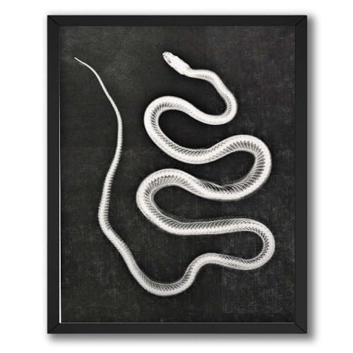 ALPINE INK CO. Snake Skeleton Poster - White Serpent Bone Artwork Style - Dark Gothic Animal Design - Living Room Office Wall Decor - 8x10 Unframed Print - color: Style-16, size: 8"L x 10"W
