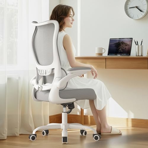 Office Chair Ergonomic Desk Chair - Comfy Mesh High Back Office Chair with Lumbar Support Wheels Home Desk Office Chairs Flip up Armrest Executive Rolling Swivel Task Work Computer Chair Grey - color: Grey