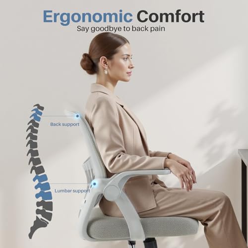 DUMOS Office Chair, Ergonomic Home Desk Chair, Ergonomic Lumbar Support | Height Adjustable, Flip-up Armrest, Rocking Mode, 360 Swivel, Conference Room, Grey - color: Grey Flip Arm
