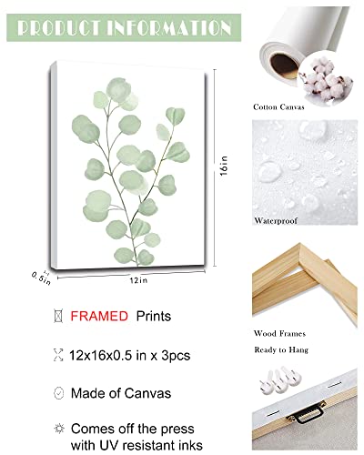 Botanical Eucalyptus Canvas FRAMED Wall Art,Boho Plant Wall Decor for Bedroom,Minimalist Prints for Living Room,Light Green Botanical Art Painting for Bathroom,Set of 3,12”x 16” - color: Botanical Wall Art, size: 12''x 16''x 3pcs