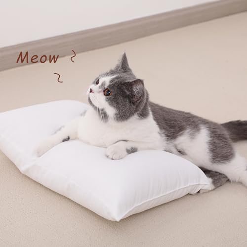 NTBAY Toddler Pillows, Set of 2, 13"x18", Light Grey | Soft Microfiber Toddler Pillows with Down-Alternative Fill, 2 Pack 13 x 18 Inch Pillows for Beds, Daycare, and Travel - color: Light Grey, size: 13"x18"