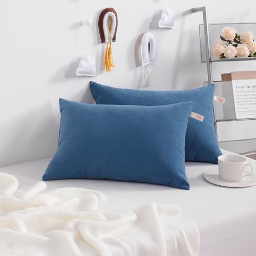 NTBAY Tiny Pillows, Down Alternative 7"x11" Microfiber Mini Pillow for Travel, Pets, Soft Machine Washable Small Pillows for Neck, Wrist, Lumbar and Knee, Denim Blue - color: Denim Blue, size: 11"x7"
