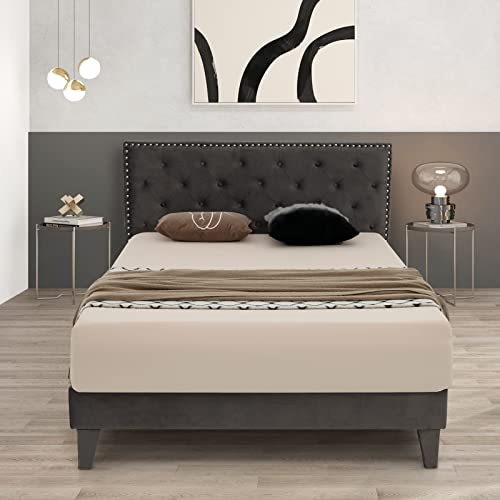 Upholstered Full Bed Frame, Low Velvet Mattress Foundation w/Wooden Slats, Button Tufted & Nailhead Trim Headboard, No Box Spring Needed, Easy Assembly, Double Platform Bed Frame Full Size - size: Full