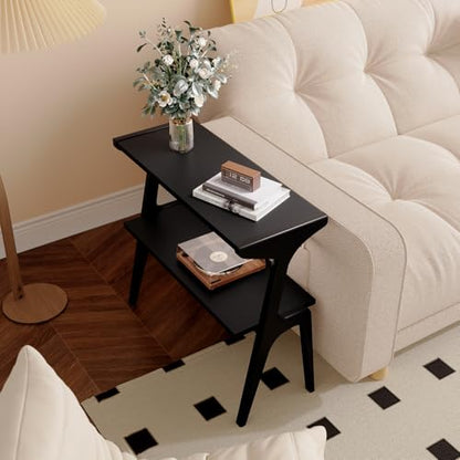 Solid Wood End Table | 2-Tier Side Table with Storage Shelf, Accent Slim Bedside Table for Sofa, Living Room, Bedroom, Small Space, Black - color: Black
