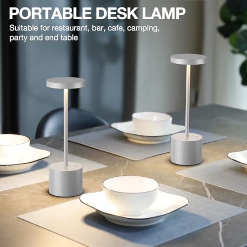 Kakanuo Silver Gray Cordless Lamp Set, Rechargeable Lamp, 3 Color Temperature, LED Outdoor Wireless Lamps, Battery Operated Lamps, Stepless Dimmable, Touch Control - color: Silver Gray