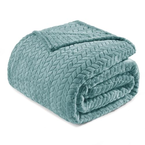 Exclusivo Mezcla Soft Fleece Bed Blanket Queen Size, 90”x90”, Celadon | Cozy Fluffy Lightweight Blankets for Summer, Decorative Plush Flannel Throws for Living Room, Bedroom with Leaves Pattern - color: Celadon, size: Queen ( 90x90 IN )