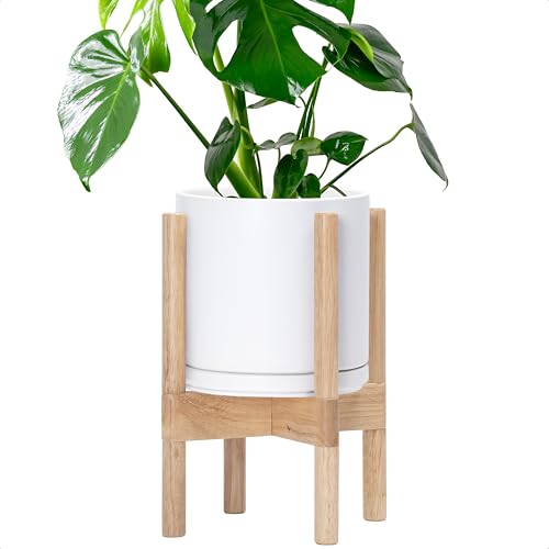 D'vine Dev Ceramic Pot with Natural Wood Stand, White, 8 in, 55-B-N-1 | Mid-Century Modern Design, Raised Plant Display, Solid Beech Wood Stand, Premium Craftsmanship, Sophisticated Home Decor - color: White Pot + Natural Stand, size: 8 Inch