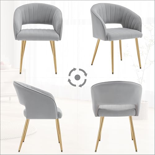 Velvet Home Office Desk Vanity Chair, No Wheels, Gold Legs, Grey | Modern Accent Chair with Stylish Stripe Design, Spacious‌ Soft Seat for Girls & Women Bedroom Makeup or Nail Table - color: Grey Velvet, No Wheels