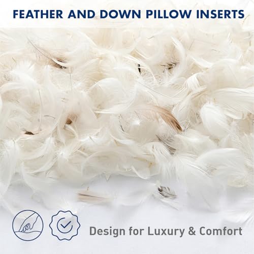 MIULEE Feather and Down 22x22 Inch Throw Pillow Insert for Sofa Bed Couch | Soft Fluffy Throw Pillow, Double-Layer Cotton Fabric, Prevents Feather Leakage - size: 22x22 Inch