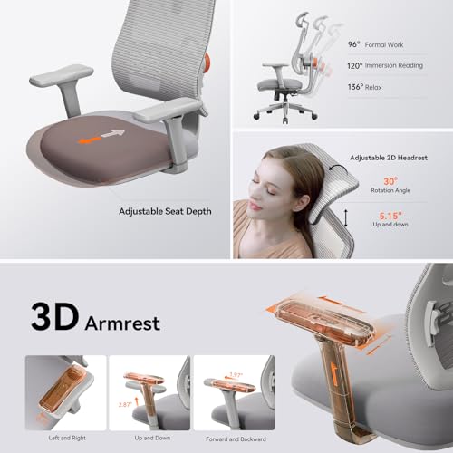 Ergonomic High-Back Office Chair, Home Office Desk Chair with Auto-Following Lumbar Support, Adjustable Headrest, 3D Armrest, Seat Depth & Heigh Adjustable, 96°-126° Recline - color: Grey
