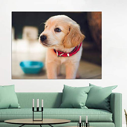 Customized Small Wall Mural with Your Pet Photos, Removable Self-Adhesive Wallpaper for Living Room Bedroom - 36x48 inches - color: Custom-pet, size: 36"x48"