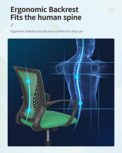 Home Office Chair Mid Back PC Swivel Lumbar Support Adjustable Desk Task Computer Ergonomic Comfortable Mesh Chair with Armrest (Green) - color: Green
