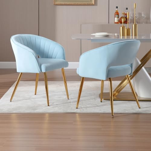 Velvet Home Office Desk Vanity Chair, No Wheels, Gold Legs, Light Blue | Modern Accent Chair with Stylish Stripe Design, Spacious‌ Soft Seat for Girls & Women Bedroom Makeup or Nail Table - color: Blue Velvet, No Wheels