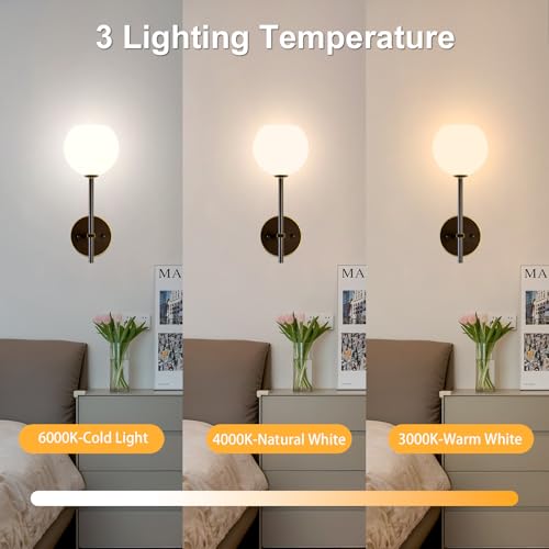 Brown Gold Battery Operated Wall Sconces Set of 2, Rechargeable Wireless Wall Lights with Milky White Frosted Glass, 12 RGB and 3CCT Dimmable, Wall Lamps with Remote for Bedroom Living Room Hallway - color: Brown Gold