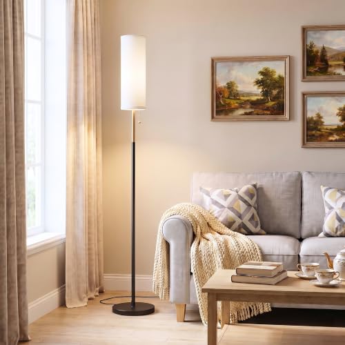 64" Floor Lamp with Bulb & Lampshade & Chain Switch, Black & Gold | 3 Color Temperature,9W LED bulb,Minimalist Floor Lamp,Tall Pole Lamps,Living Room,Bedrooms,for Study,Office - color: black & gold pole, size: 64.56 inches 1PCS