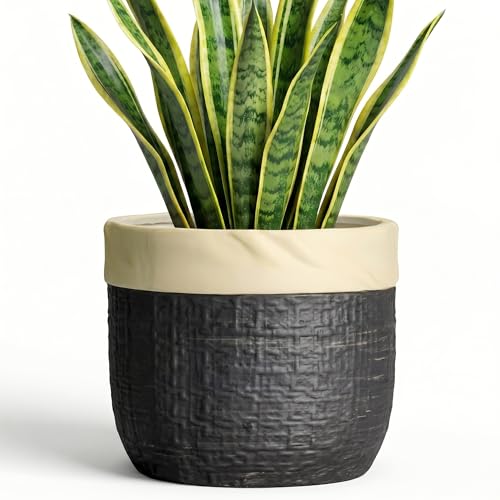 8 Inch Planter, Ceramic Pots for Plants, Round Flower Pot, Black | Decorative Plant Pots for Indoor Plants, Boho Planter with Drainage Hole, Apartment Decor, Gardening Gifts for Women - color: Black, size: 8 Inch