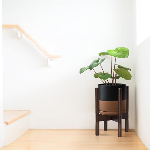 D'vine Dev Ceramic Pot with Walnut Wood Stand, Black/Tan, 8 in, 55-B-Y-7 | Mid-Century Modern Design, Raised Plant Display, Solid Beech Wood Stand, Premium Craftsmanship, Sophisticated Home Decor - color: Black/Speckled Tan Pot + Walnut Color Stand, size: