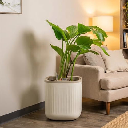 15 Inch Self-Watering Planter for Indoor Plants – Large Modern Plant Pot with Built-In Water Reservoir, Ideal for Monstera, Fiddle Leaf Fig, Palms & Peace Lily, Without Trellis (1, Cream White) - color: Cream White