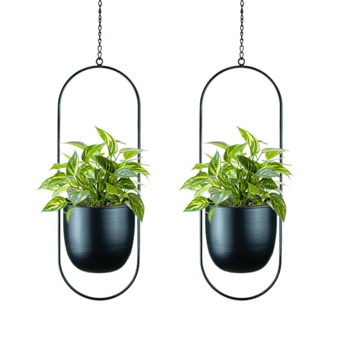 Modern Metal Hanging Planters with 6 Inch Pots and Sturdy Rods - Set of 2 Oval Geometric Plant Hangers - Black Wall and Ceiling Mount Flower Holders for Indoor and Houseplants - size: OVAL-6 INCH POT
