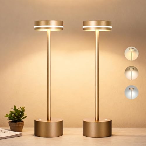 2 Pack Cordless Table Lamp Rechargeable, Touch Desk Lamp - 5000mAh Battery, 3 Color Dimmable Led Light, Small Portable Aluminum Light for Outdoor/Patio/Dining/Tabletop/Bar/Office, Home Decor