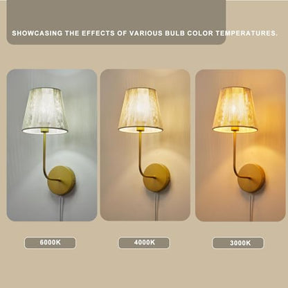 White Boho Wall Sconces Set of 2 Plug-in | Wall Light Brass Paint Finish with Natural Wicker Rattan Shade Hand Woven for Bedside, Living Room, Fireplace, Hallway - color: Brass Paint Finish