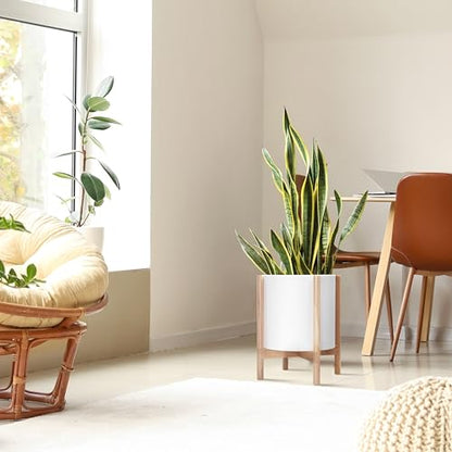 D'vine Dev Plastic Pot with Natural Wood Stand, White, 14 in, 55-C-S-1 | Mid-Century Inspired Design, Elevated Plant Display, Clean Lines, Sturdy Support, Modern Space-Saving Style - color: Matte White Pot + Natural Stand, size: 14 Inch