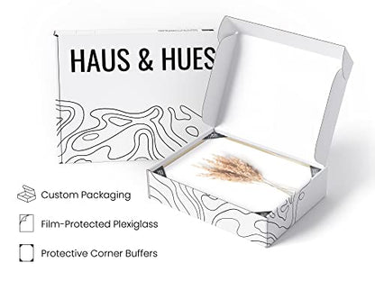 HAUS AND HUES Brown Plant Set of 4-16x20 Framed Beige - color: Brown Plant, size: 16x20, style: Beige Framed