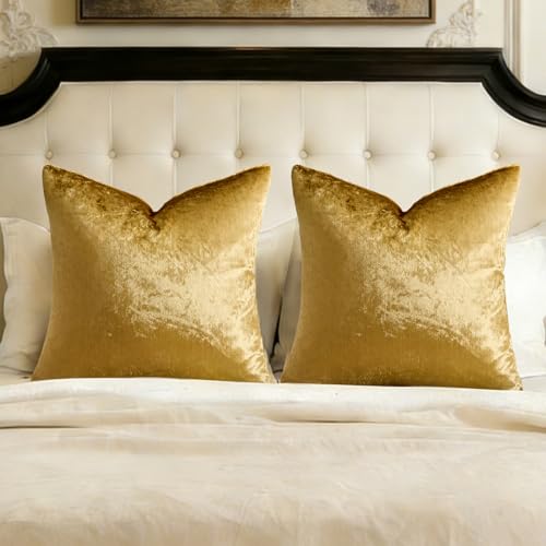 GIGIZAZA Gold Velvet Pillow Covers 26x26 Decorative Pillows Pack of 2 | Throw Pillows for Couch,Euro Sham,300gsm Soft Textured Fabric,Modern Square Pillowcases,Luxury Cushion Covers - color: Gold, size: 26" x 26" (Pack of 2)
