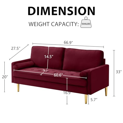 65" Love Seat Sofa, Velvet Small Sofa Small Couch for Bedroom Living Room, Bedroom, Loveseat with 2 Pillows, Gold Legs, Modern Tufted Seat Upholstered Seating for Office, Apartment (Red) - color: Red
