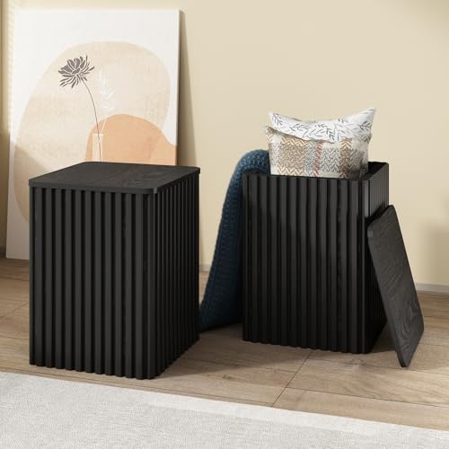 Fluted Side Table with Storage-Small Square End Table | Solid Wood Veneer Top, Accent Tables, Modern Farmhouse Pedestal Drink Tables for Couch, Sofa, Living Room, Black - color: Black