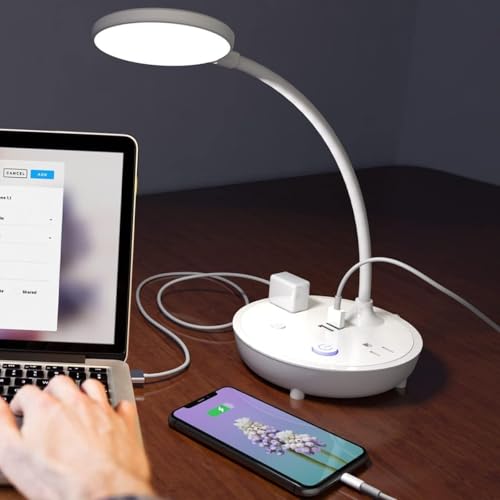 LED Desk Lamp with 2 USB Charging Ports and 2 AC Power Outlets - Adjustable Gooseneck Desk Light with 3 Level Brightness, Eye-Caring Small Table Lamp for Home Office, College Dorm Room Essentials