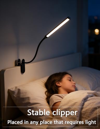 2 Pack Clip On LED Desk Lamp, 3 Lighting Modes 10 Brightness Levels, Flexible Goose Neck Swing Arm Task Lamp, Eye Caring USB Powered Clamp Light for Home Office Study Reading Bedside - color: 12inch/black