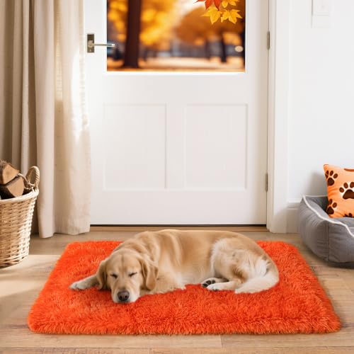 2x3 Small Rugs for Bedroom Hallways,Orange Soft Fluffy Shaggy Bedside Rug | Area Rugs for Living Room, Upgrade Non-Slip Durable, Indoor Floor Carpet for Kids Girls and Boys, Home Decor Aesthetic - color: Orange, size: 2' x 3' (Rectangular)