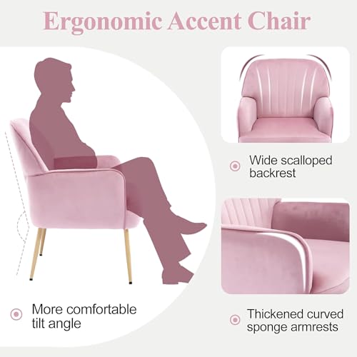 GDFStudio 25" Velvet Accent Chair with Arms and Back, Modern Shell-Shaped Upholstered Barrel Chairs, Small Comfy Reading Chair Lounge Chairs with Solid Legs for Living Room Bedroom Office Cafe, Pink - color: Pink