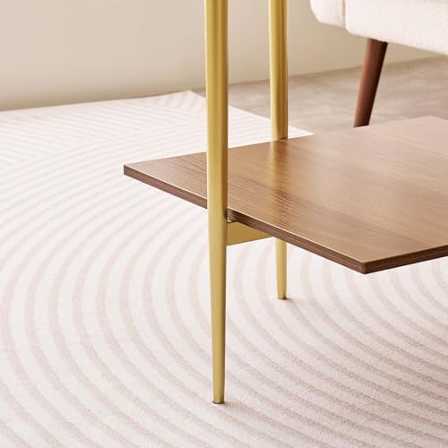 LumFurn Square Glass End Table, Mid-Century Modern Side Table for Living Room, L18xW18xH23inch, Clear Glass and Walnut MDF Wood, Gold Finish Frame - color: L18" Clear & Walnut