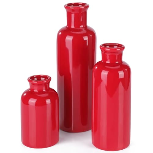 Small Ceramic Vase Set of 3, Boho Modern Flower Vase Room Decor, Farmhouse Decor, Vases for Your Kitchen, Bathroom, Bedroom, Living Room, Office&Shelf Centerpiece Table Decorations, Red - color: Red
