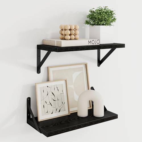 Dreamland Wall Mounted Floating Shelves Set of 2, 16x8, Black | Engineered Wood, Visible Bracket, Large Storage, Hold Up to 30lbs, Living Room, Bathroom, Bedroom, Kitchen - color: Black, size: 16"W x 8"D