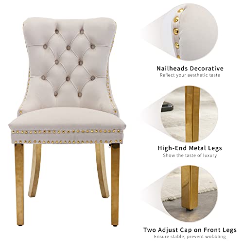 Beige Velvet Dining Chairs Set of 4, Tufted Kitchen & Dining Room Chairs | Four Fabric Dinning Chairs, Velvet Upholstered, Wing Back, Metal Pull Ring, Gold Legs, Wood Frame, Mid Century Modern - color: A-4 Beige Velvet, Gold Legs, size: 4