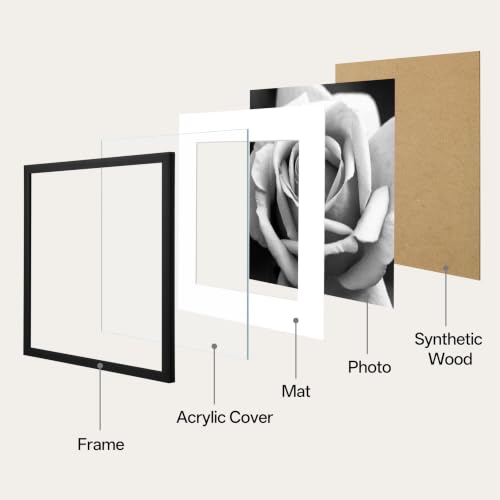 eletecpro 14x14 Picture Frame Set of 6, Display 10x10 with Mat | Lightweight & Sturdy, Easy to Create Gallery Wall, Acrylic Cover, No Acid Mat, Pre-installed Hardware, Ready to Hang - size: 14x14 for 10x10