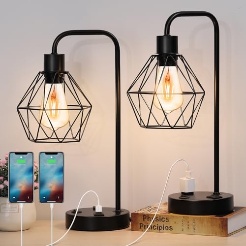 BTY Industrial Table Lamps Set of 2 Vintage Desk Lamp Metal Cage Nightstand Bedside Lamp with Dual USB Charging Ports and AC Outlet for Bedroom Living Room Office (Black) - size: CAGE 2