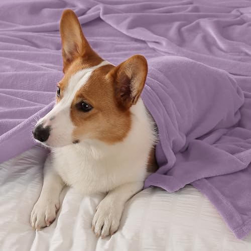 Elegant Throw Blanket for Couch & Sofa, All-Season Lightweight Fleece Blanket, Luxury Soft Cozy Fuzzy Throw for Her Him, Lavender, 50 x 56 Inches