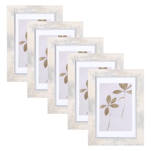 Fixwal 4x6 Picture Frame Set of 5 with Tempered Glass, Silver White | Premium PS Product, Farmhouse-Style, Durability And Longevity, Wall or Tabletop Decor - color: C-Distressed Silver White, size: 4x6