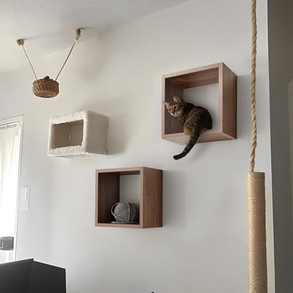 Cube Floating Shelves Set2, Display Shelves Wall Mount 7.75" D x 12.5" W x 12.5" H, (Walnut, Square 2 Cubes) - color: Dark Walnut, size: Square-Set2