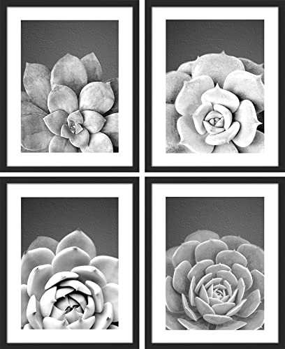 SIGNWIN Framed Black White Grayscale Southwest Succulent Cactus Wall Art, Set of 4 Floral Botanical Wall Decor Prints, Nature Wilderness Wall Décor for Living Room, Bedroom - 11"x14" Black - color: A35-2303-slm10, size: 11"L x 14"W, style: Black Frame
