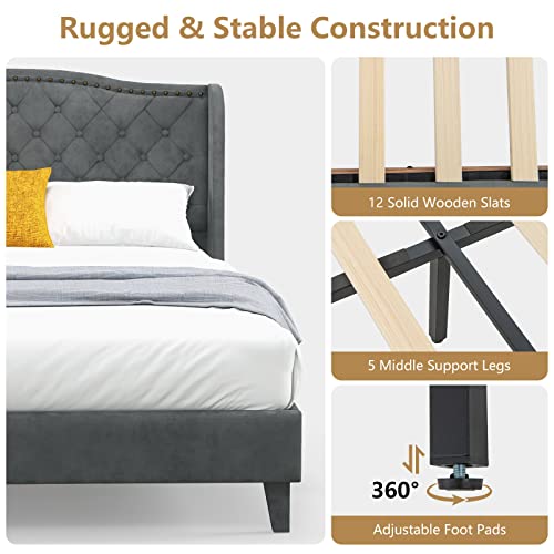 Upholstered Queen Bed Frame w/Wood Slats & Noise-Free EVA Foam | Velvet Mattress Foundation, Button Tufted Wingback Headboard, No Box Spring Needed, Low Platform Bed Frame - size: Queen (U.S. Standard)