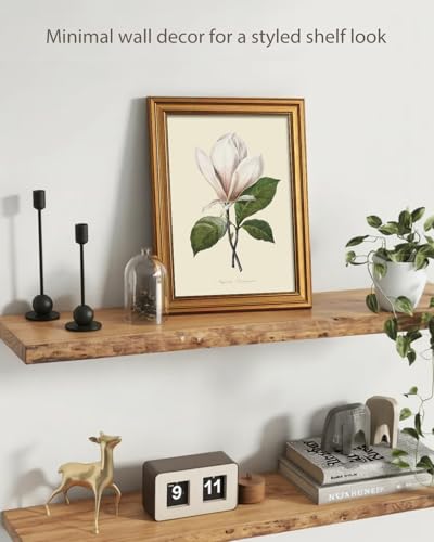 ARPEOTCY Vintage Botanical Wall Art Framed, Antique Magnolia Floral Illustration with Gold Frame, Classic Wall Decor for Living Room Bedroom or Bathroom, 12x16 Inch - color: Single Magnolia Bloom, size: 16"L x 12"W