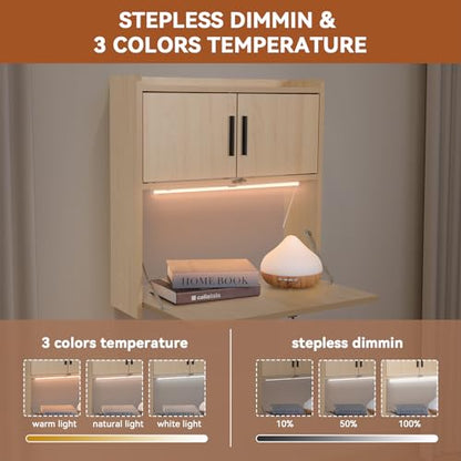 ARTETHYS Wall Mounted Desk Folding with LED Light Drop Down Hanging Desk | Multifunctional Fold Down Laptop Computer Table, Writing Workstation with Storage Compartments, Space Saving for Home - color: Wood